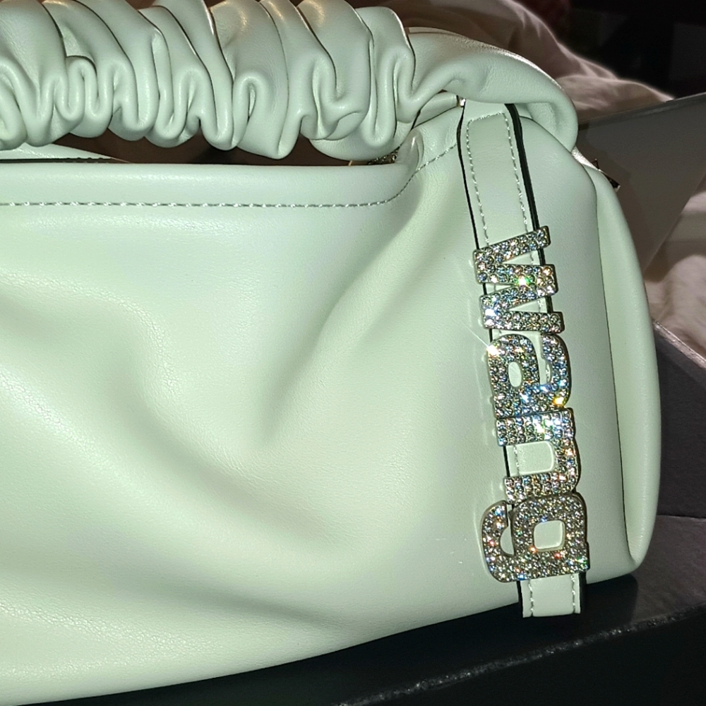 Alexander Wang scrunchie purse